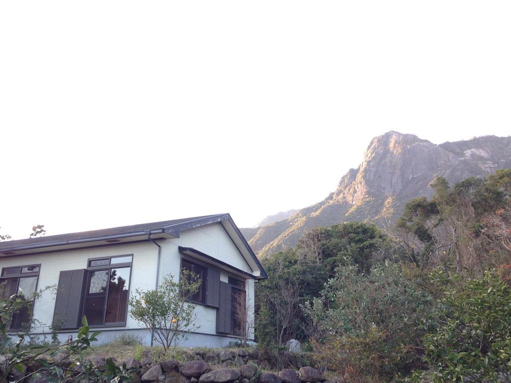 Minshuku Nicoichi Hotel Yakushima  Exterior photo